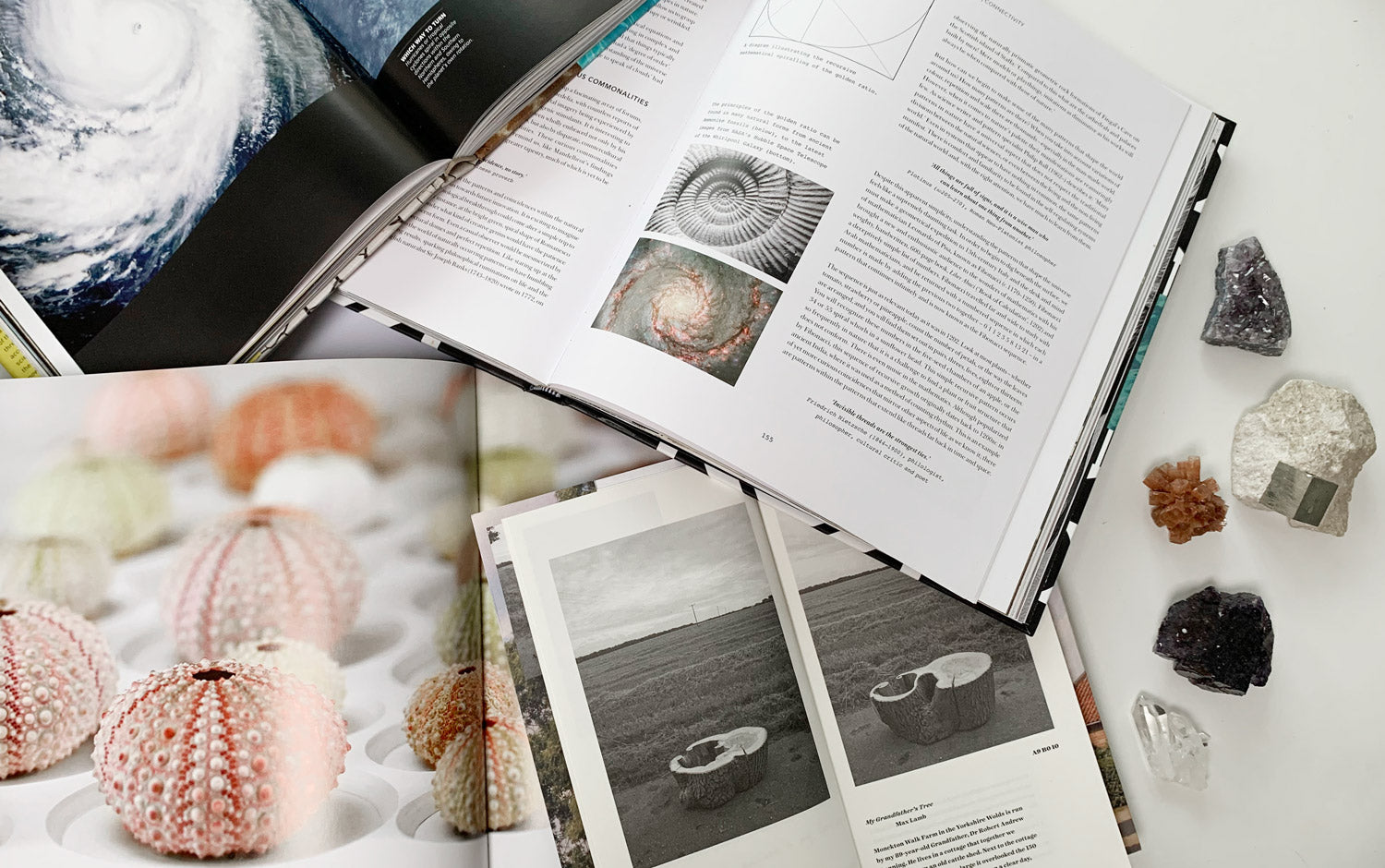 Alice Made This | Jewellery inspired by Precision in Nature