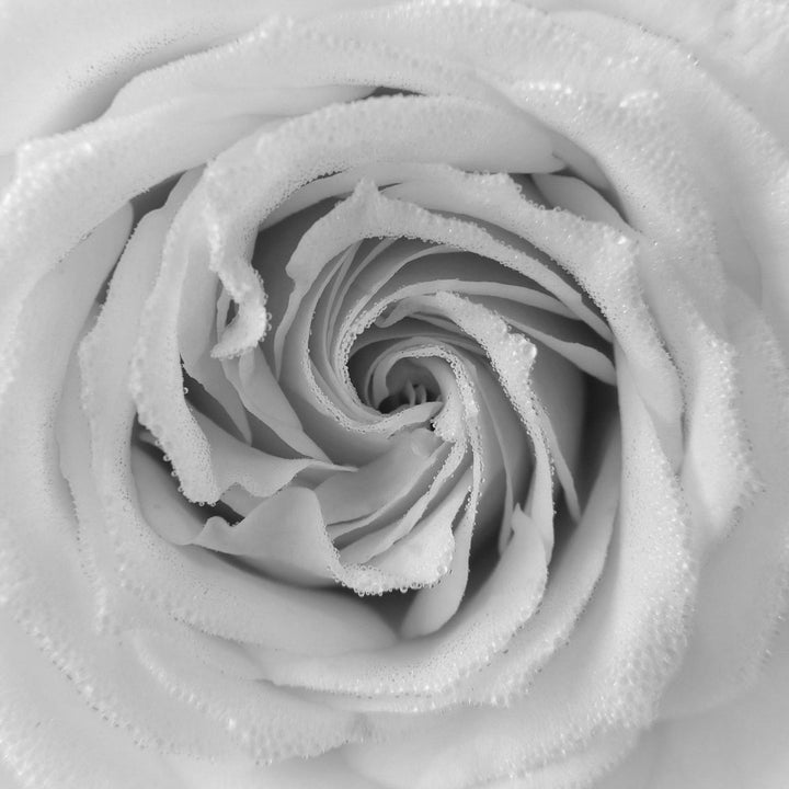 precision in nature | inspiration | circles | mia silver necklace